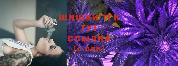 эйфоретик Баксан