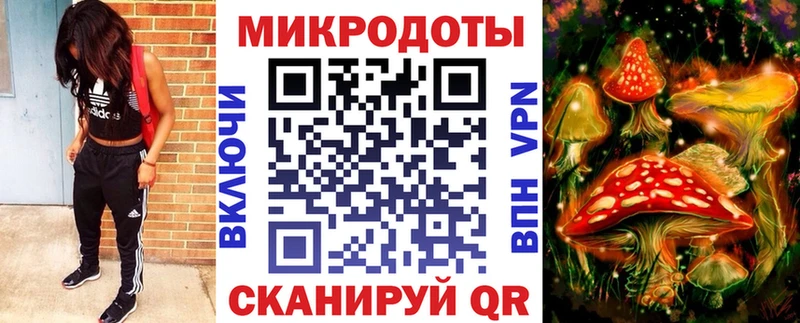 где продают   Гдов  Псилоцибиновые грибы мицелий 